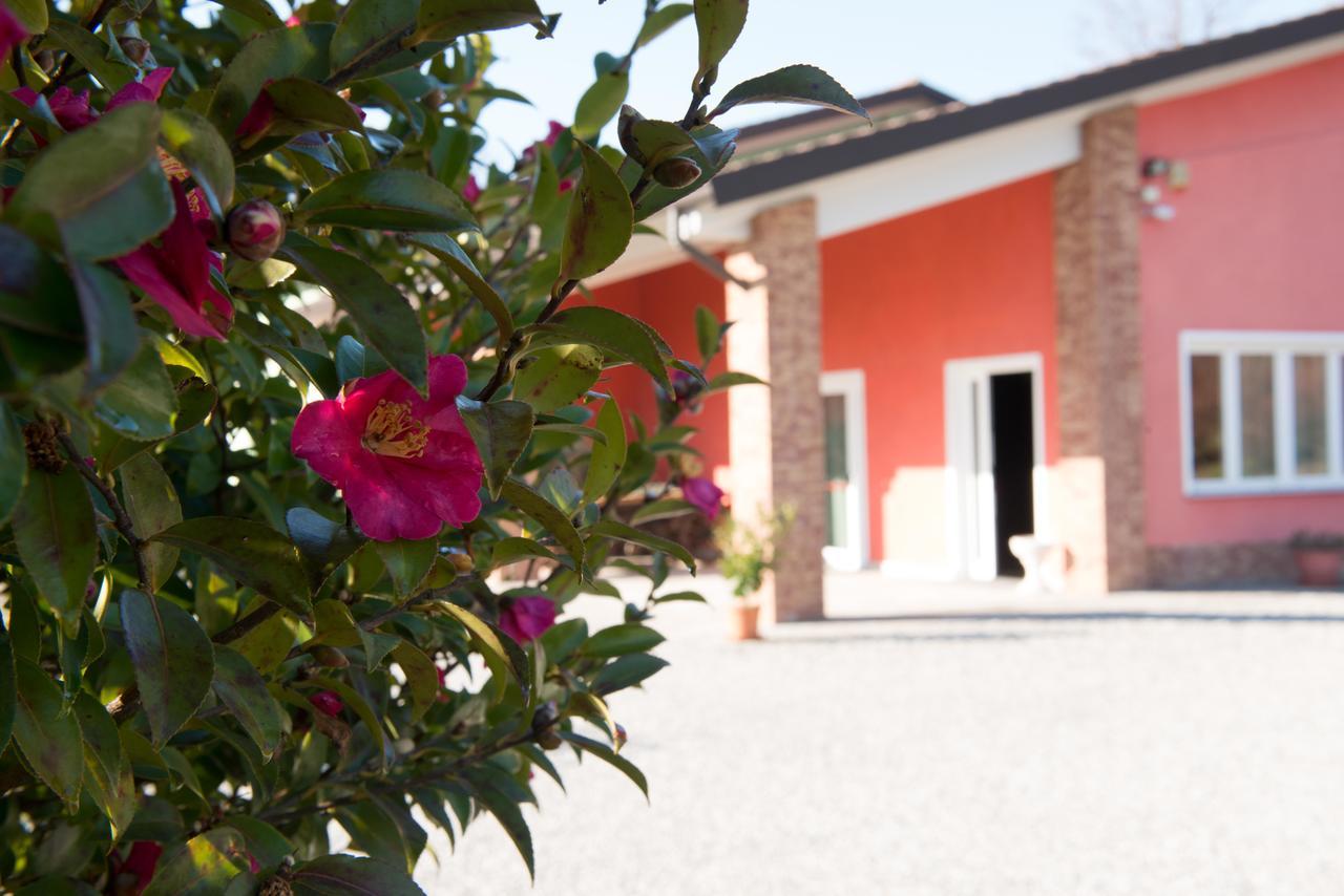 Tenuta La Vigna Malgesso Exterior photo